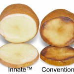 Innate™ and conventional potatoes 10 hours after being sliced.